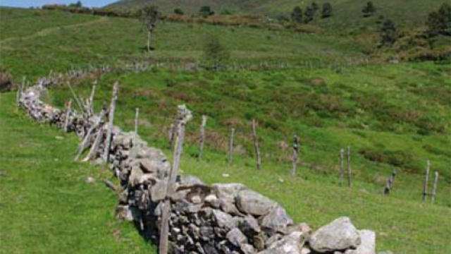 Senda Área Recreativa de San Roque – Dolmen de Entrerríos