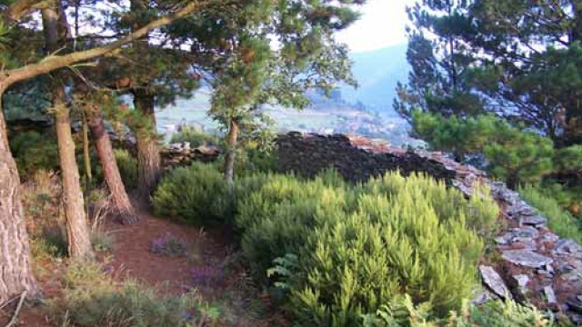 Couso de los Lobos de Bustelo